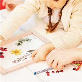 Coffre et Plaque D'immatricula