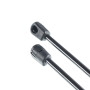 Frankberg 2x Ressorts à Gaz pour Hayon Compatibles avec Corsa C F08 F68 W5L Hatchback Camionnette 2000-2009 Remplacer# 0132670