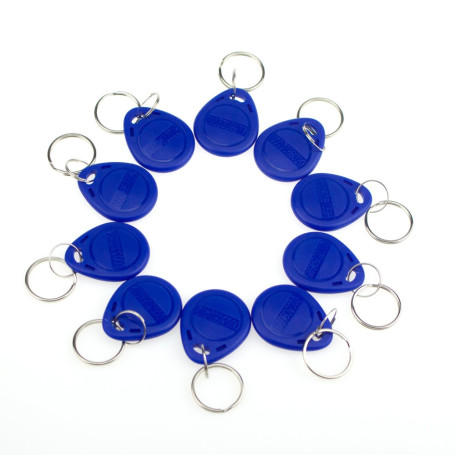 HFeng (pack de 100) 125KHz RFID Contrôle D'accès Porte-clés Proximité EM4100 TK4100 Porte-clés Smart ID Carte pour Porte Système