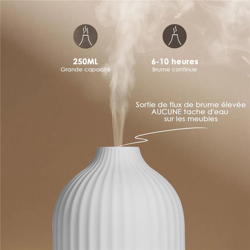 Promenades Virtuelles - Champs de Lavande France pour exercices d'intérieur tapis roulant et vélo d'appartement