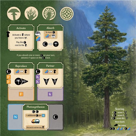 6 Pack Balles de Jonglages Enfant Balle de Jonglage Cirque en Cuir PU Balles Doux Balle Jonglage Pro Mini Balles de Jonglerie de