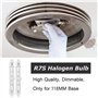 iJiZuo Lot de 5 R7S Ampoule Halogène 118mm 160W 230V, Dimmable Ampoule Halogène Crayon Blanc Chaud 2800K pour Spot de Bâtiment, 