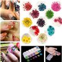 Accessoires pour nail art 12 couleurs tridimensionnelles fleurs séchées 60 étoiles plus 60 cinq fleurs