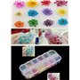 Accessoires pour nail art 12 couleurs tridimensionnelles fleurs séchées 60 étoiles plus 60 cinq fleurs