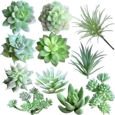 Dzxin Succulentes Artificielles