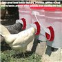 6 Pièces Mangeoire Poules, Mangeoire Poule Automatique, Mangeoires Automatiques Pour Poules Mangeoire À Poulets, Anti Nuisible T