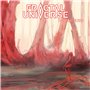 Fractal Universe-The Filters