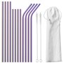 Gvolatee 12 Pcs Pailles en Acier Inoxydable 304