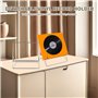 xyuayamz Support Vinyle, Porte Vinyle, Amovible Rangement Disque, Métal Cadre Disque, Accessoire Record pour Ranger Des Disques,