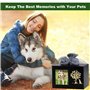 Urne funéraire pour chien - Urne funéraire en bois avec cadre photo - Boîte à souvenirs avec doublure en flanelle noire - Cadeau
