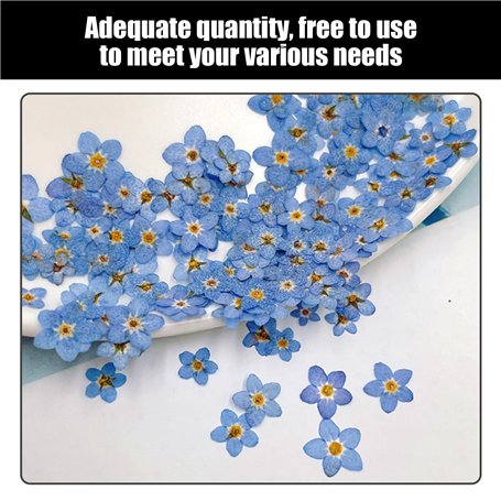 moule à pâtisserie