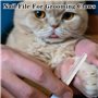 Coupe Griffes Chat, Professionnels pour Animaux Coupe Ongle Chat, Sûr Confortable Coupe Griffe Chat en Acier Inoxydable Doppelte