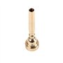 Embouchure de trompette Alnicov Embouchure d'instruments 7C en laiton doré compatible avec les débutants et les joueurs professi