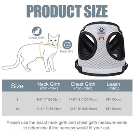 Alderac Entertainment | Jeu de Société Undergrove en Anglais pour Toute la Famille | Jeu Stratégique pour 1 à 4 Joueurs | Jeu de