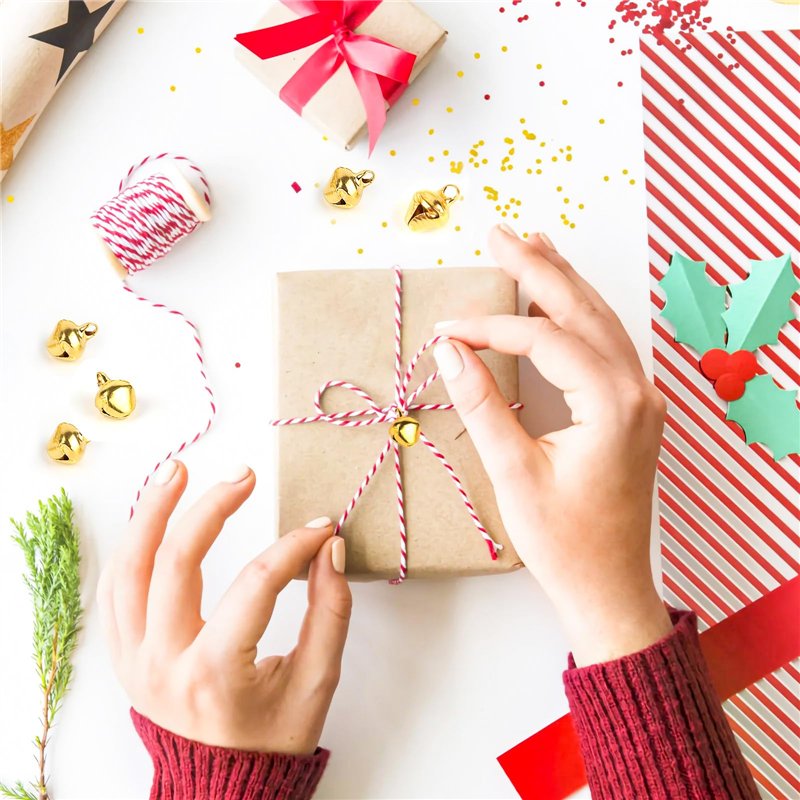 Wxinsheng Sac de Rangement Écouteurs Petit Sac