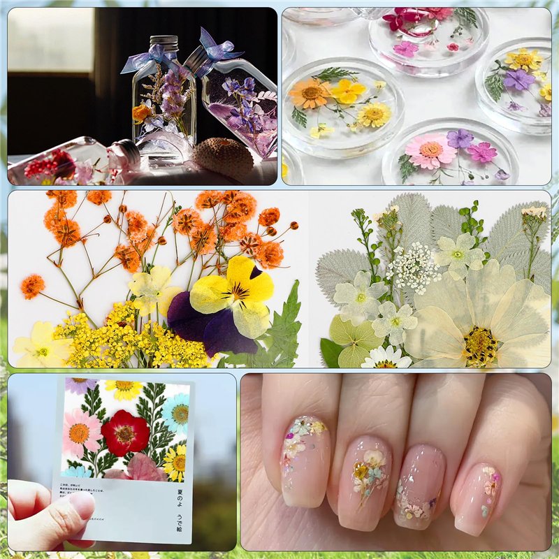 SLAXJNE Élément De Décoration en Forme D'Étoile De Mer