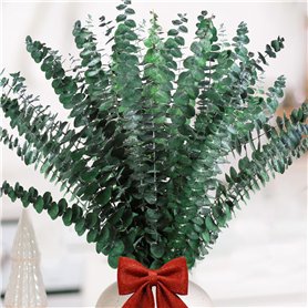 Neuytiky 20 Pièces Eucalyptus Seches,Naturel Fleurs Séchées Tiges D'Eucalyptus Véritable et Conservées de 43cm,Tige D'Eucalyptus Neuytiky 20 Pièces Eucalyptus Seches