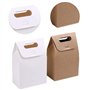 Sacs en Papier en Papier Kraft