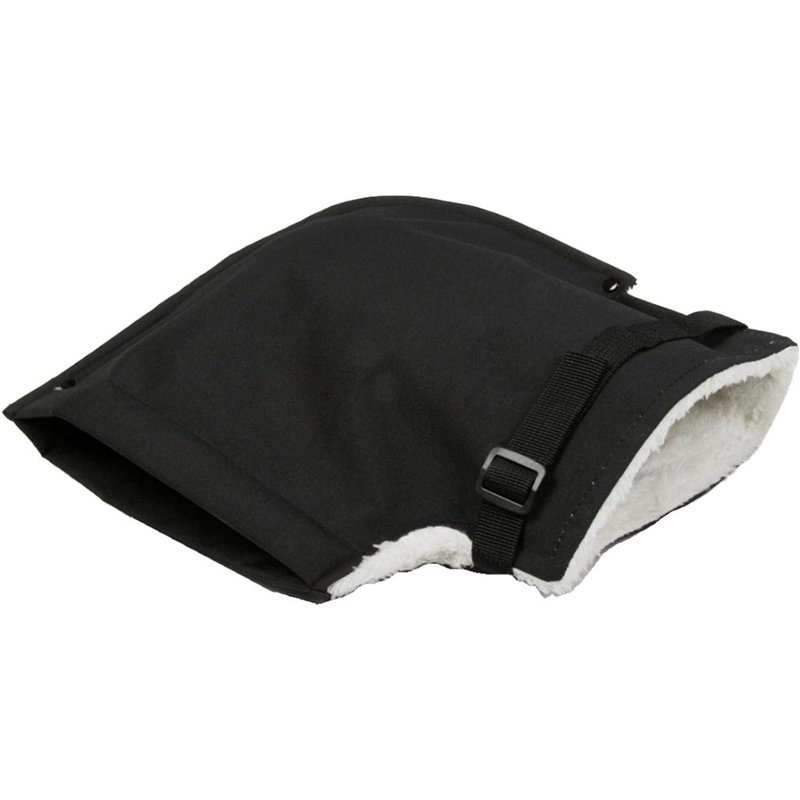 SmartMe Sachet de graines d'œillet Chabaud géant