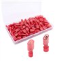 QitinDasen 80Pcs Connecteur Entièrement Isolé