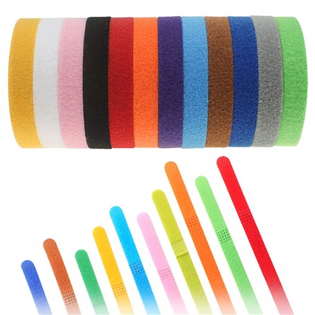 12 Pièces Collier Chien