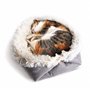 Lit pour Chat Chien, 2 en 1 Double Usage Panier pour Chat Coussin pour Chien Doux et Confortable Chaud Nid Chiot Panier Chat Moe