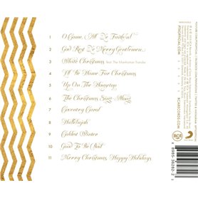 Jtron boitier fusible 12v auto 12 voies boite fusible pour ATO/ATC 1-20A fusible DC 32 V M5 connecteur à vis porte-fusible avec 