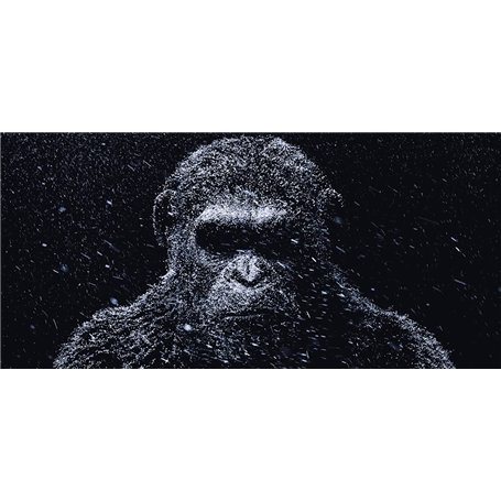 JRSHIRLEYLTD Lot de 220 émerillons de pêche à la truite, 5 tailles 4# 6 # 8 # 10 # 12# Anneaux solides pour la pêche à la truite