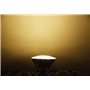 Y.W.Licht Y.W PAR30 Lampe LED E27 12W blanc chaud 3000K Ampoule à réflecteur 220V Etanche IP65 Spotlight 120°Angle de rayonnemen