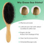 Brosse Cheveux Sanglier avec Poignée en Bambou Brosse Brushing Professionnel et Peigne a Queue Carbone Brosse Cheveux Excellente