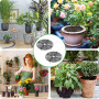 GIDWRIY 2 Pièces Grille Protection Plante Chat 30 CM, Protection Pot de Fleur Ronde, Protege Plante Bebe, Cache Pot Chat, Grille