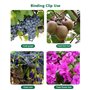 TTPSRY 203 Pièces Kit Attache Plante Jardin Clips Fixation Vigne Anneau Support Tuteur Légume Tomate Fleur Fruit