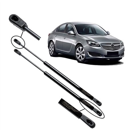 Ramor Strutz 2x Verin de Hayon Compatibles avec Vauxhall Insignia 2008-2017. Ressorts à Gaz pour Hayon
