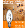 Luxvista 10 Pack d'ampoules halogènes, 42W E14 Candle Halogen Bulbs, Dimmable C35 E14 Light Bulbs, 2700K Warm White, 613 Lumen f