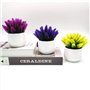 Fycooler Plantes Artificielles en Pot, Plantes Topiaires Artificielles de Cactus, Plantes Succulentes Décoratives Faux Cactus en