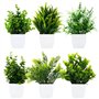 Royouzi Lot de 6 petites plantes artificielles en pot - Plantes artificielles pour chambre à coucher