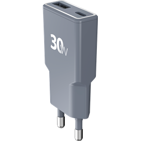 Saint-Saëns : Intégrale des Symphonies