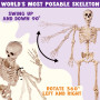 JOYIN Squelette d'halloween réaliste Taille réelle de 1,5 m avec articulations Mobiles pour décoration d'intérieur et d'extérieu