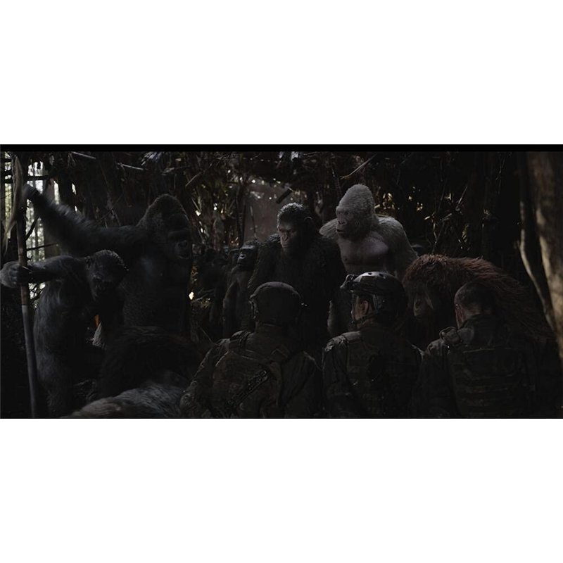 ColorIt Livre de coloriage pour adulte - Scènes tropicales colorées - 50 motifs recto - Papier épais et lisse - Couverture rigid