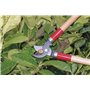 Ébrancheurs de jardinage - Coupe branches avec lame à coupe franche manche bois 5