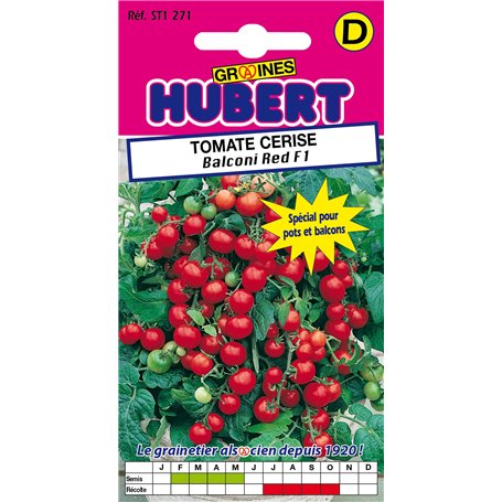 20 Graines de Tomate Cerise Balconi Red F1