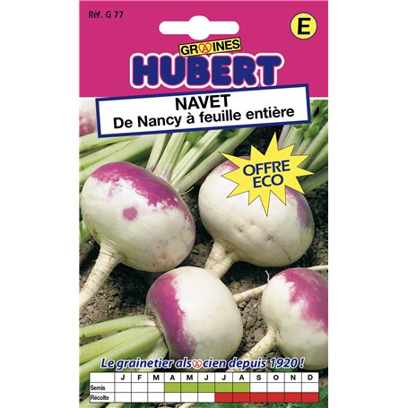 Graines de Navet de Nancy à feuille entière - 12 grammes