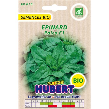 Graines BIO d'Epinard Palco F1-8 grammes
