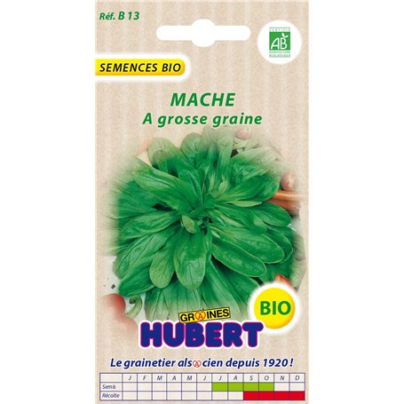 Graines de Mache a grosse graine BIO - 3 grammes