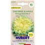 Graines de Chicorée Scarole Grosse Bouclée 2 BIO - 2 grammes