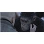 La Planète des Singes : Suprématie [Blu-Ray + Digital HD]