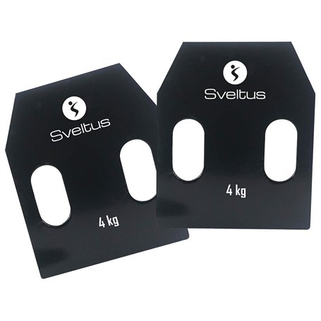 Plaque acier avec poignées 4 kg x2