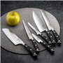 SABATIER TROMPETTE Vulcano - Set 5 couteaux de cuisine