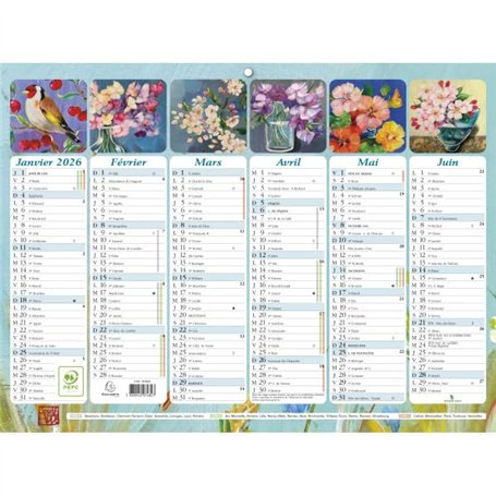 Exacompta - 34382E - Calendrier Mural - Thème Fleurs Illustrations SOPHIE ADDE - 6 mois par face - Dimension 29