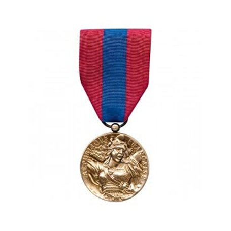 DMB PRODUCTS - 580050 - Medaille Ordonnance Defense Nationale Bronze - DEMO03DENAT